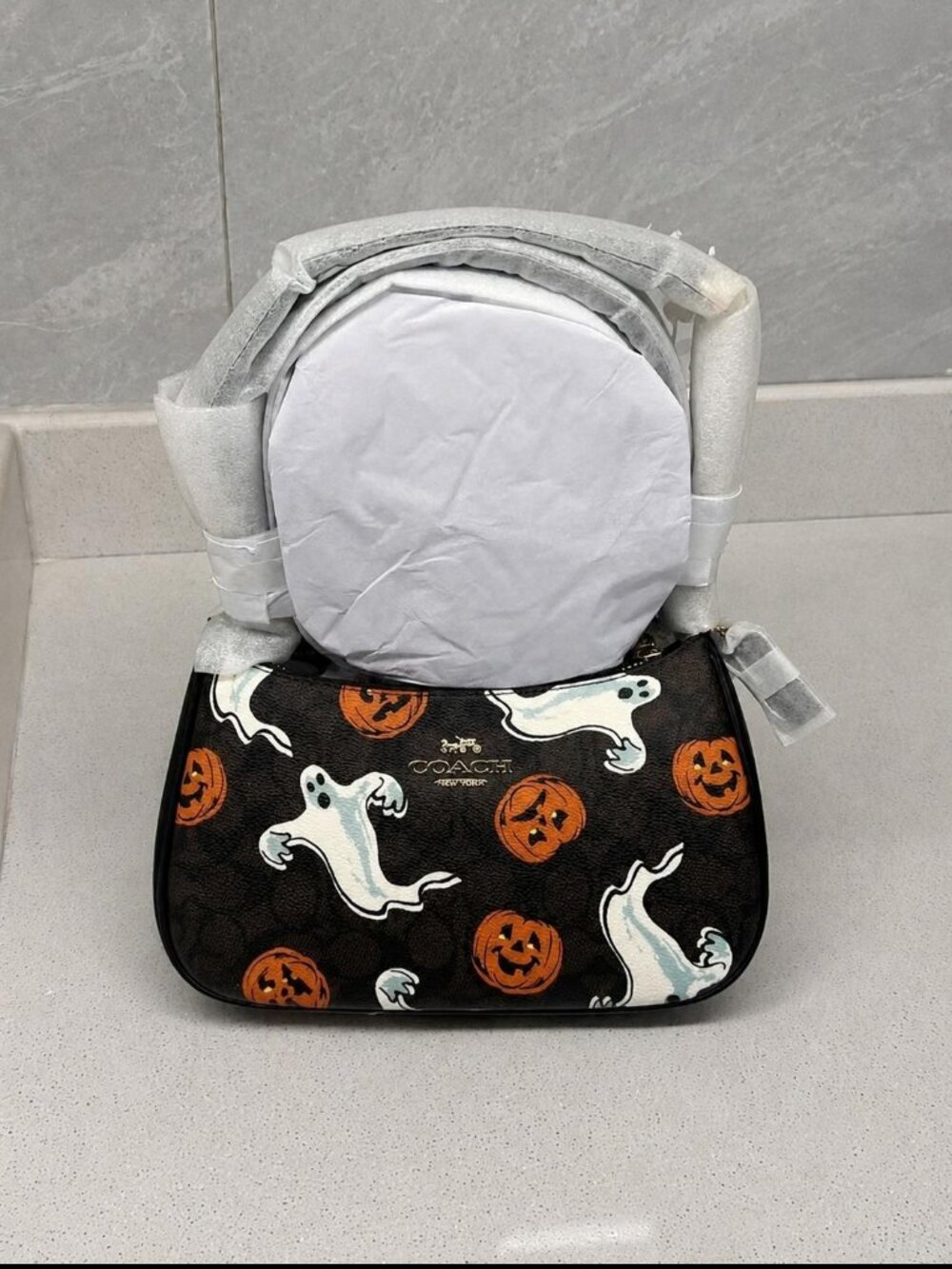 Coach Signature Teri Shoulder & Crossbody Bag Halloween Pumpkin Ghost Print